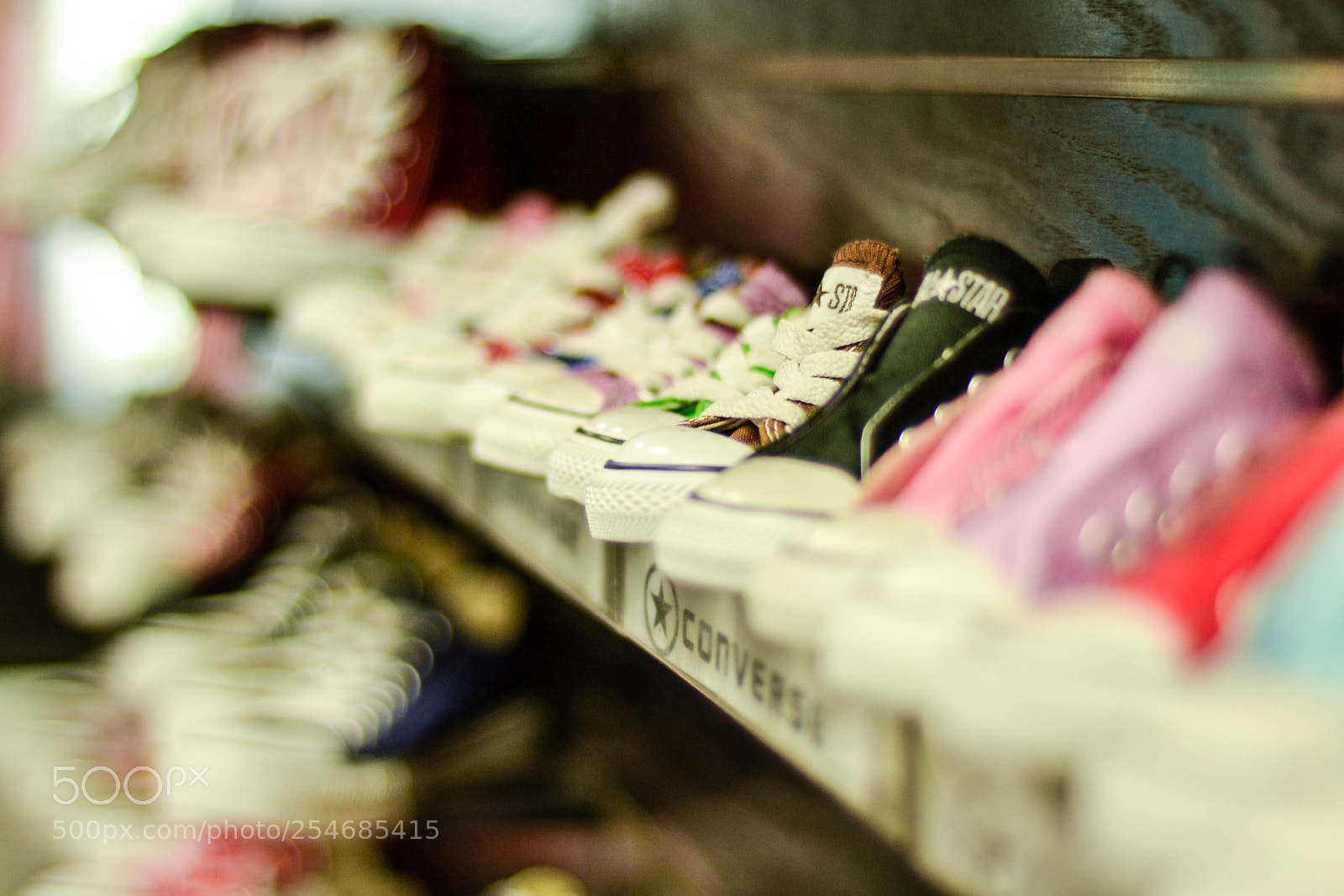 Nikon D3100 sample photo. We are all the photography
