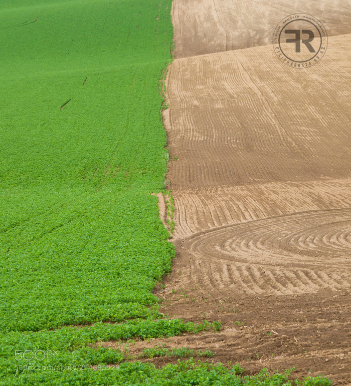Nikon D90 sample photo. Moravian tuscany i photography