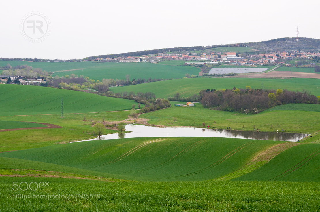 Nikon D90 sample photo. Moravian tuscany v photography