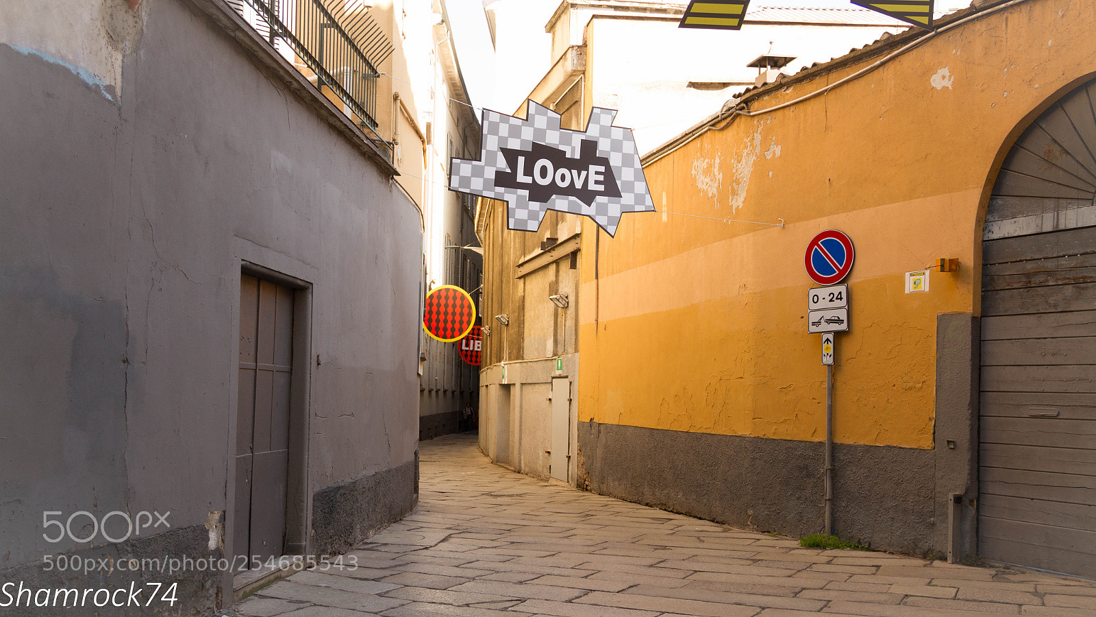 Canon EOS 7D sample photo. Loove photography