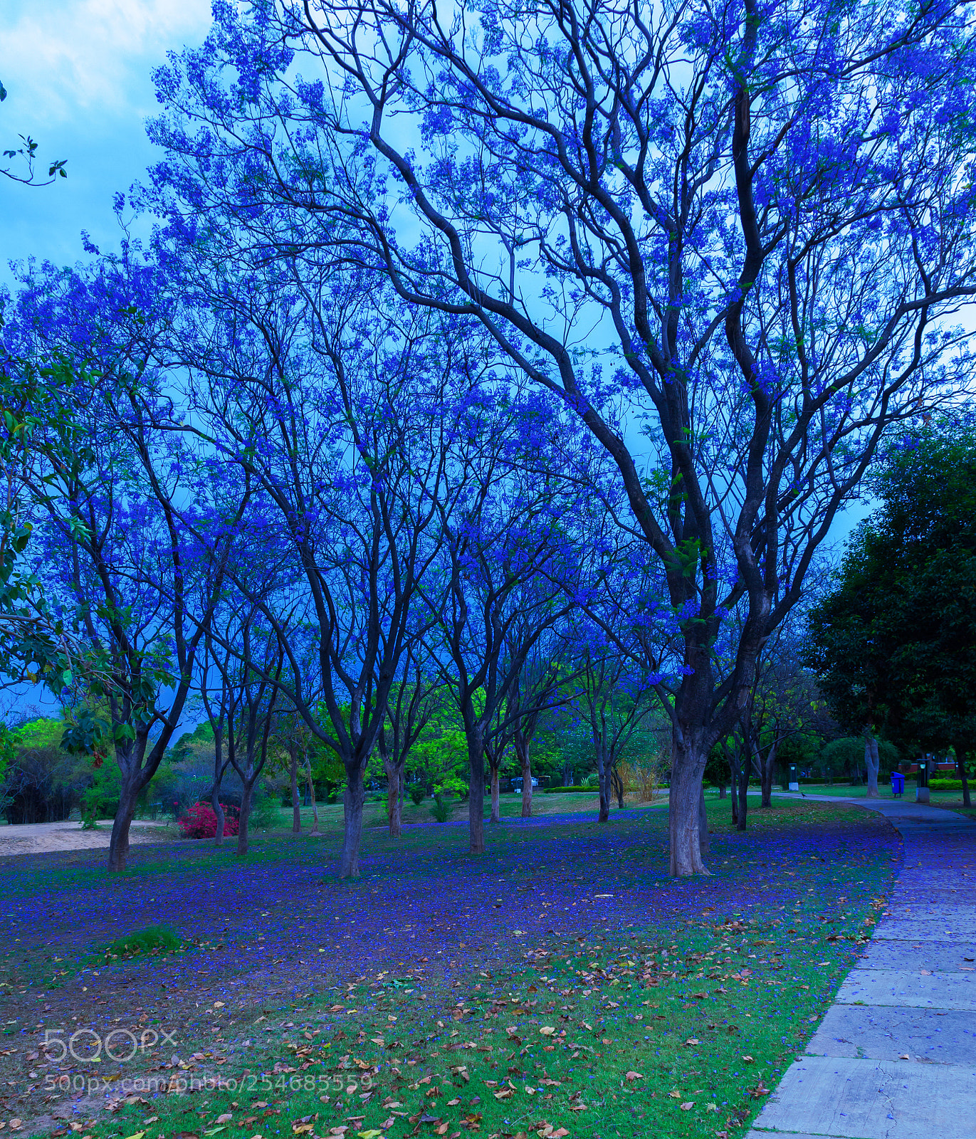 Canon EOS 5D Mark II sample photo. Blue shadow photography