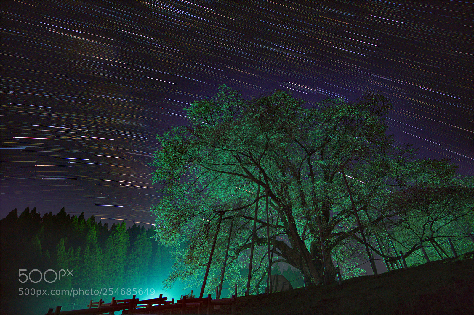 Sony a7R III sample photo. Dialogue with the universe photography