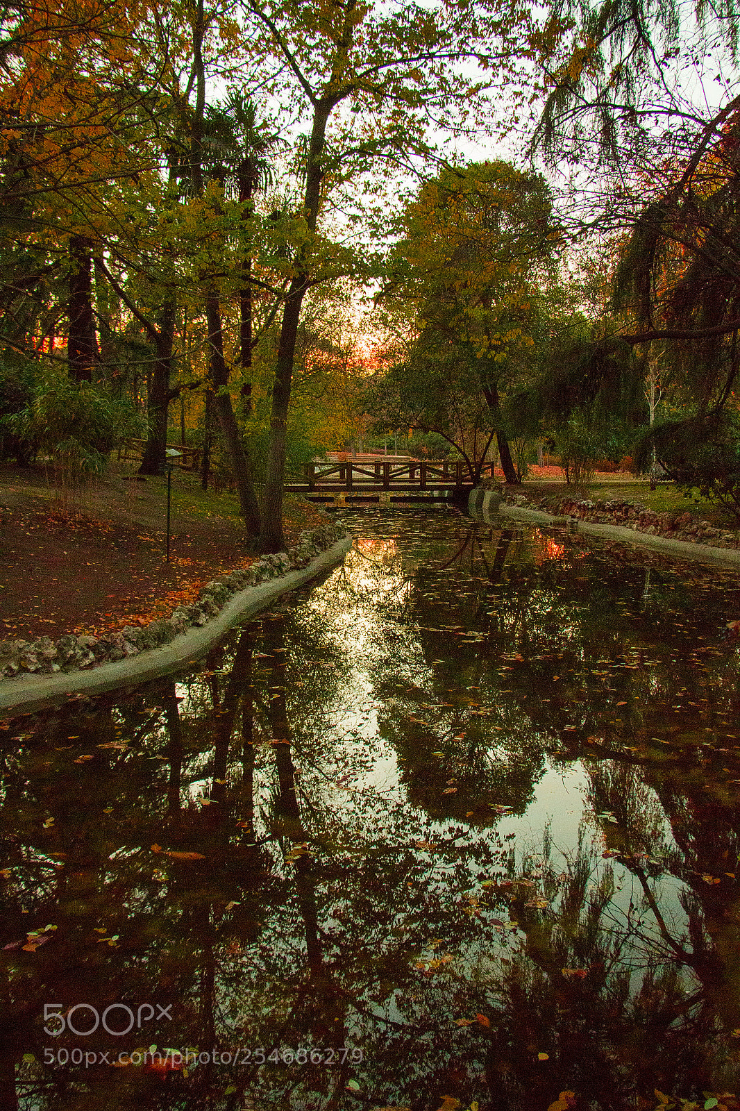 Canon EOS 70D sample photo. Retiro river photography