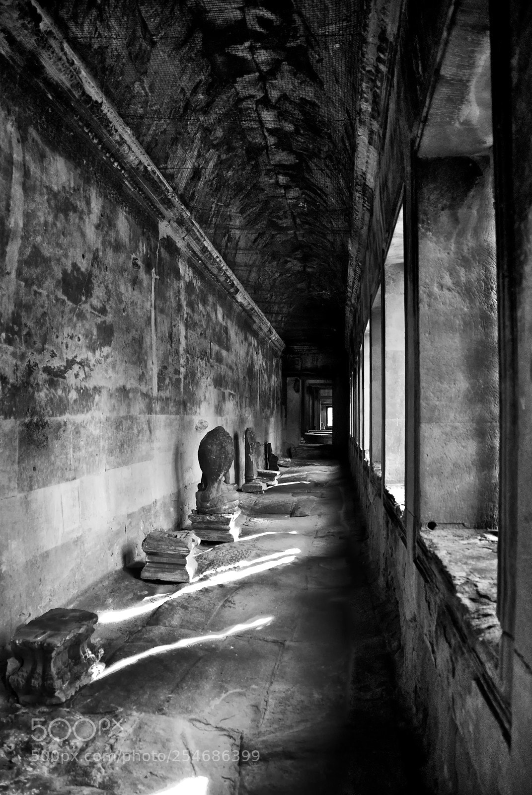 Nikon D80 sample photo. Morning shadows photography