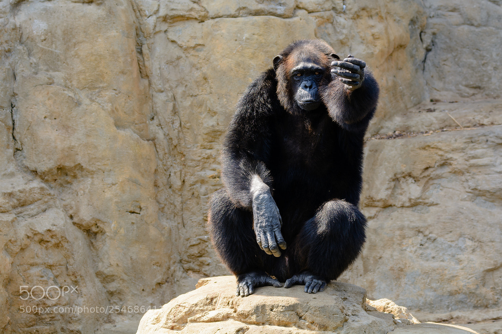 Nikon D7100 sample photo. Alex () photography