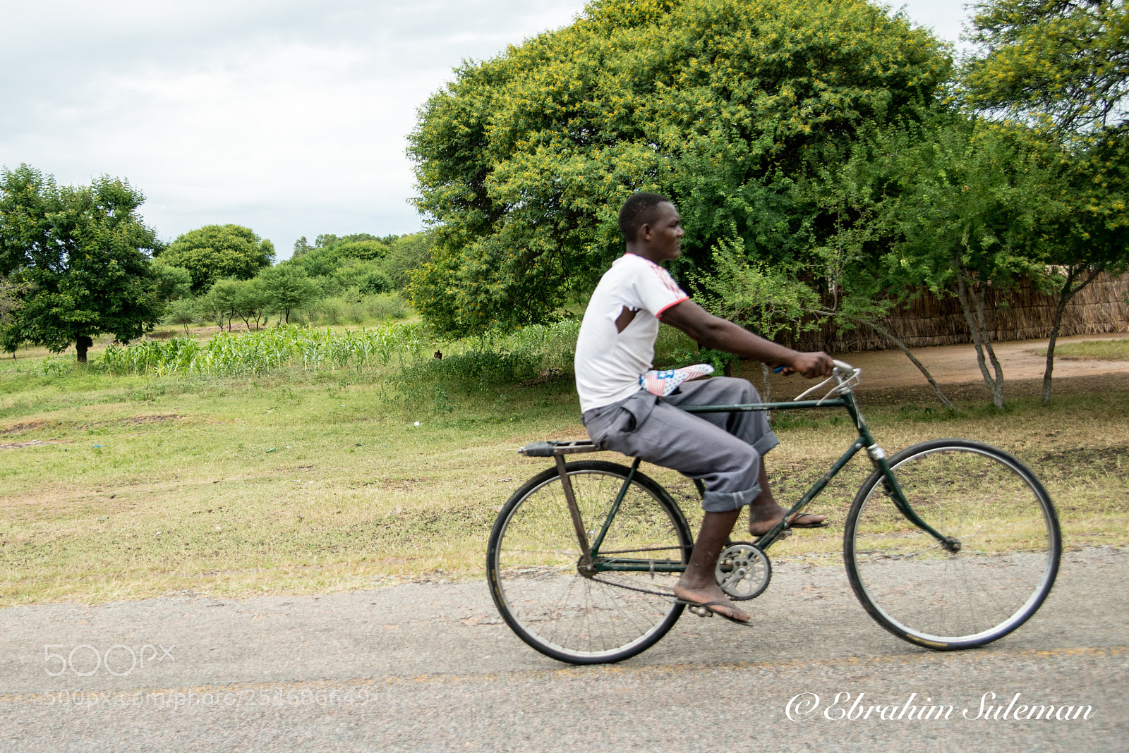Nikon D800 sample photo. Easy rider photography