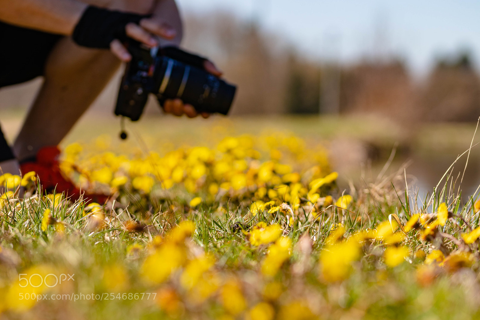 Canon EOS 200D (EOS Rebel SL2 / EOS Kiss X9) sample photo. Photographer at work photography