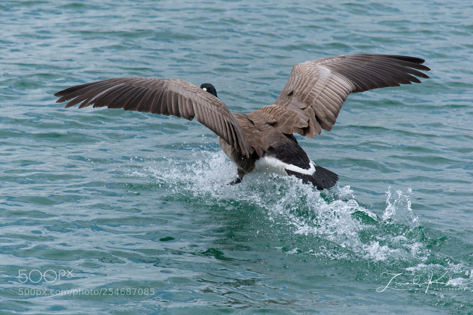 Nikon D3400 sample photo. Landing photography