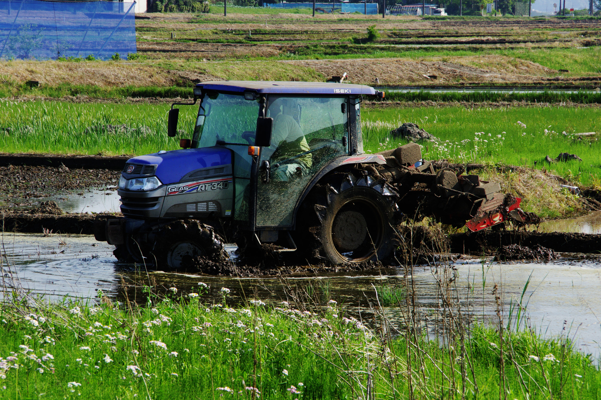 Pentax K-70 sample photo. Rice cultivation photography