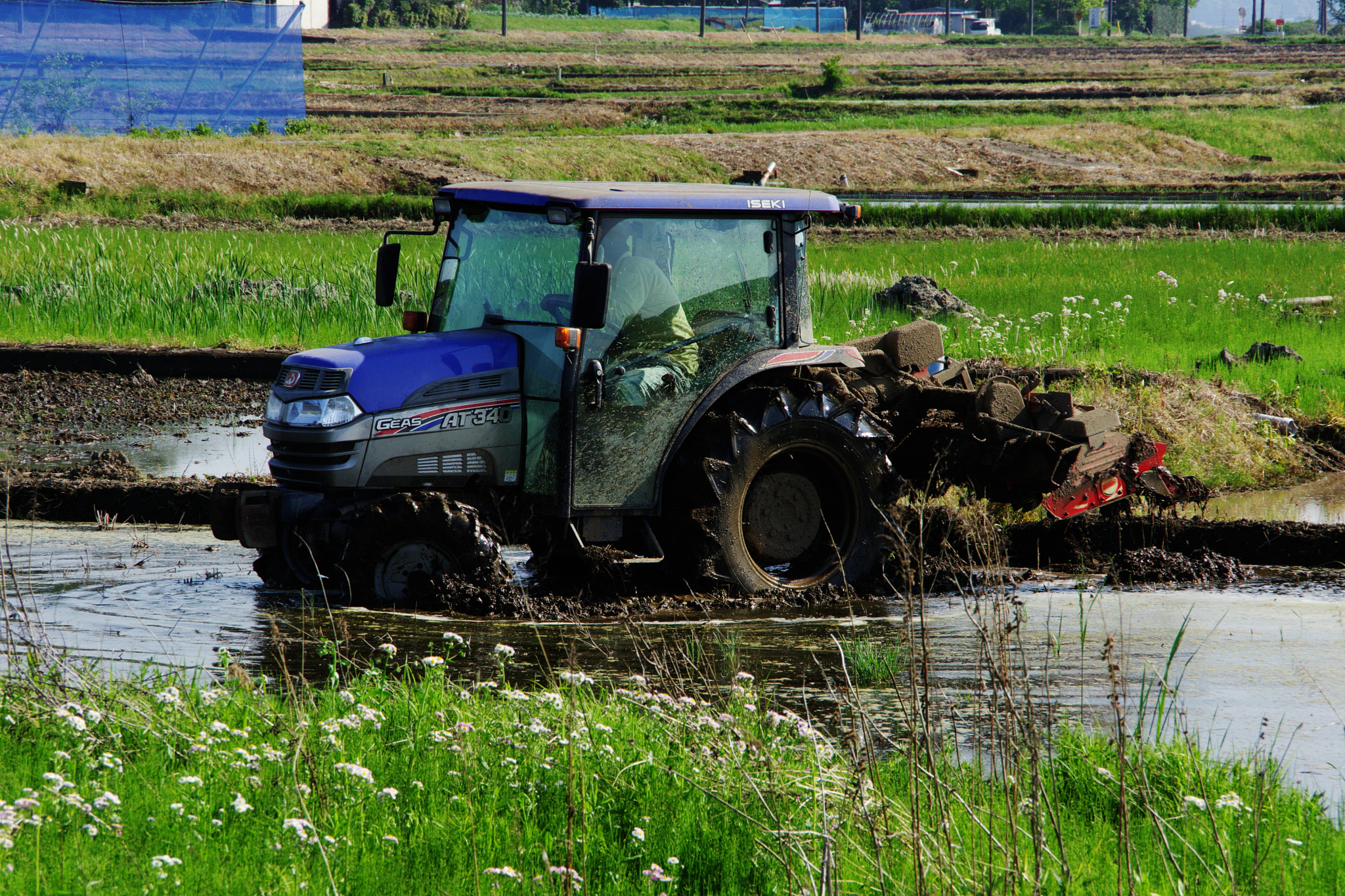 Pentax K-70 sample photo. Rice cultivation photography