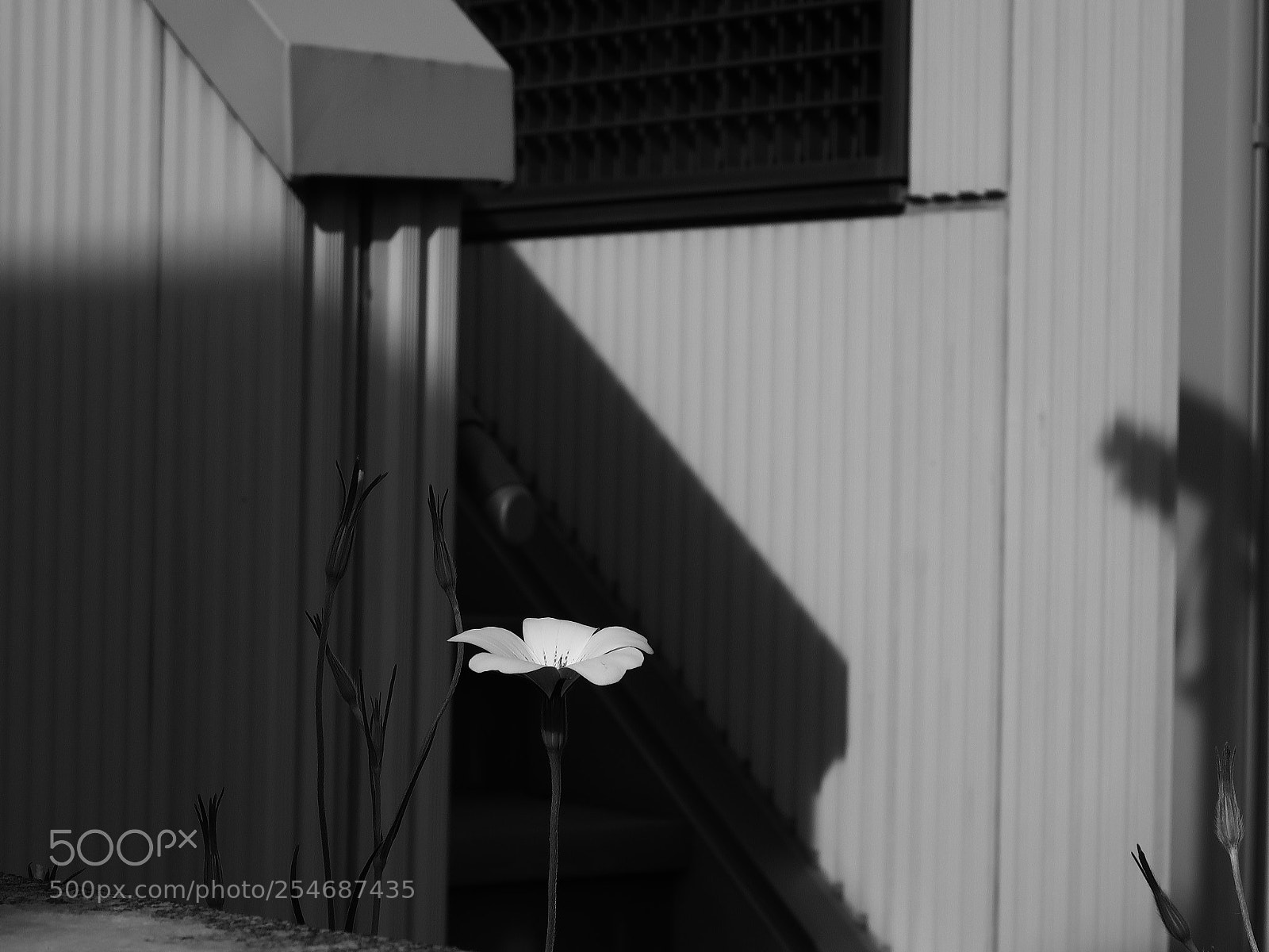 Canon PowerShot G7 X Mark II sample photo. Img photography