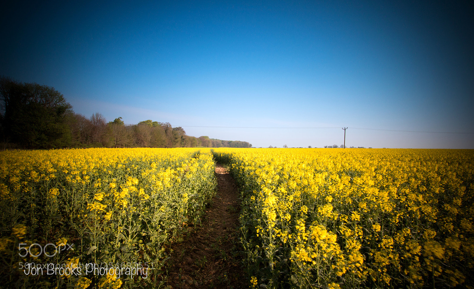 Canon EOS 7D Mark II sample photo. Mr blue sky photography