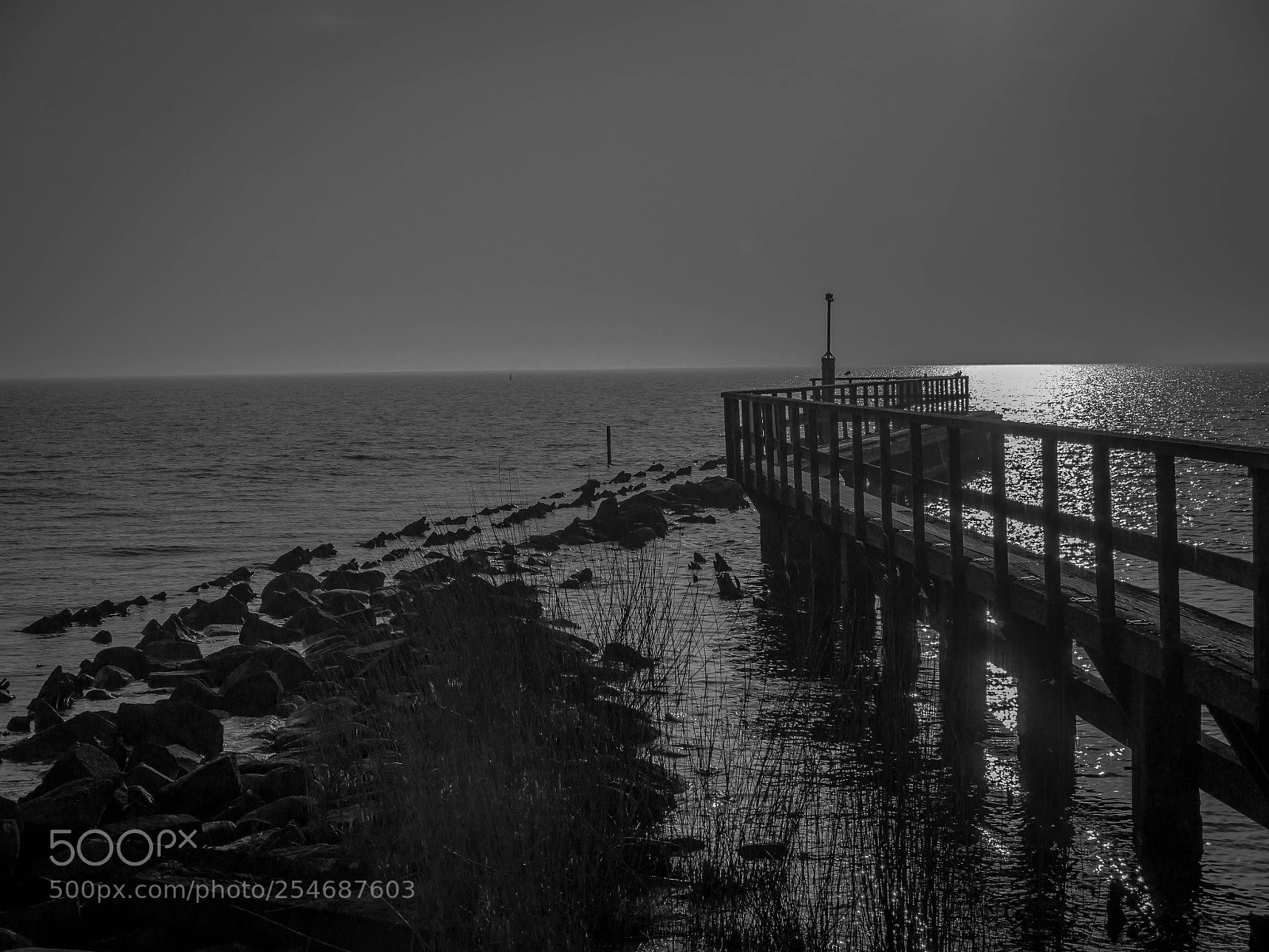 Olympus OM-D E-M5 sample photo. Pier in holland. photography