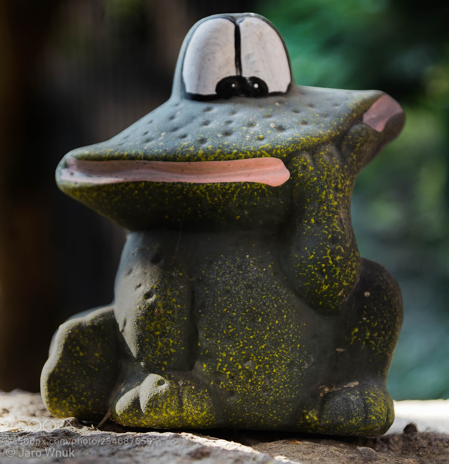 Sony a7 II sample photo. Zaba frosch photography