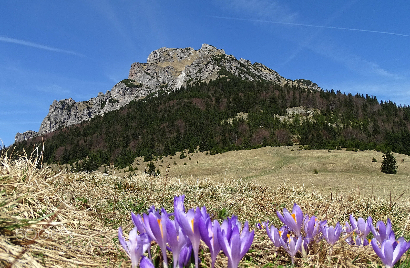Sony Cyber-shot DSC-HX400V sample photo. --spectacle ... photography