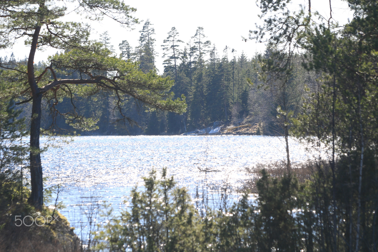Canon EOS 760D (EOS Rebel T6s / EOS 8000D) sample photo. Img photography
