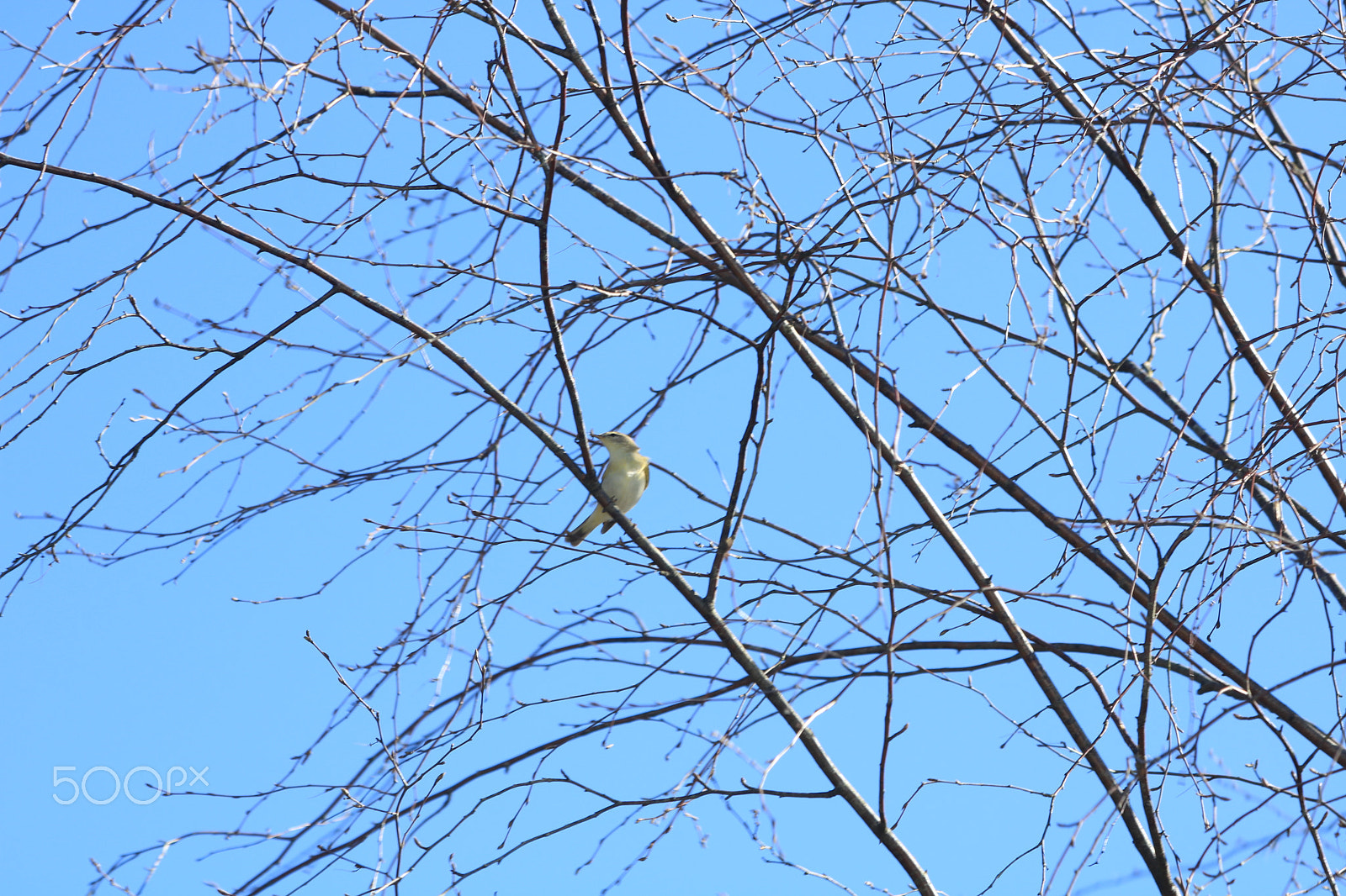 Canon EOS 760D (EOS Rebel T6s / EOS 8000D) sample photo. Img photography