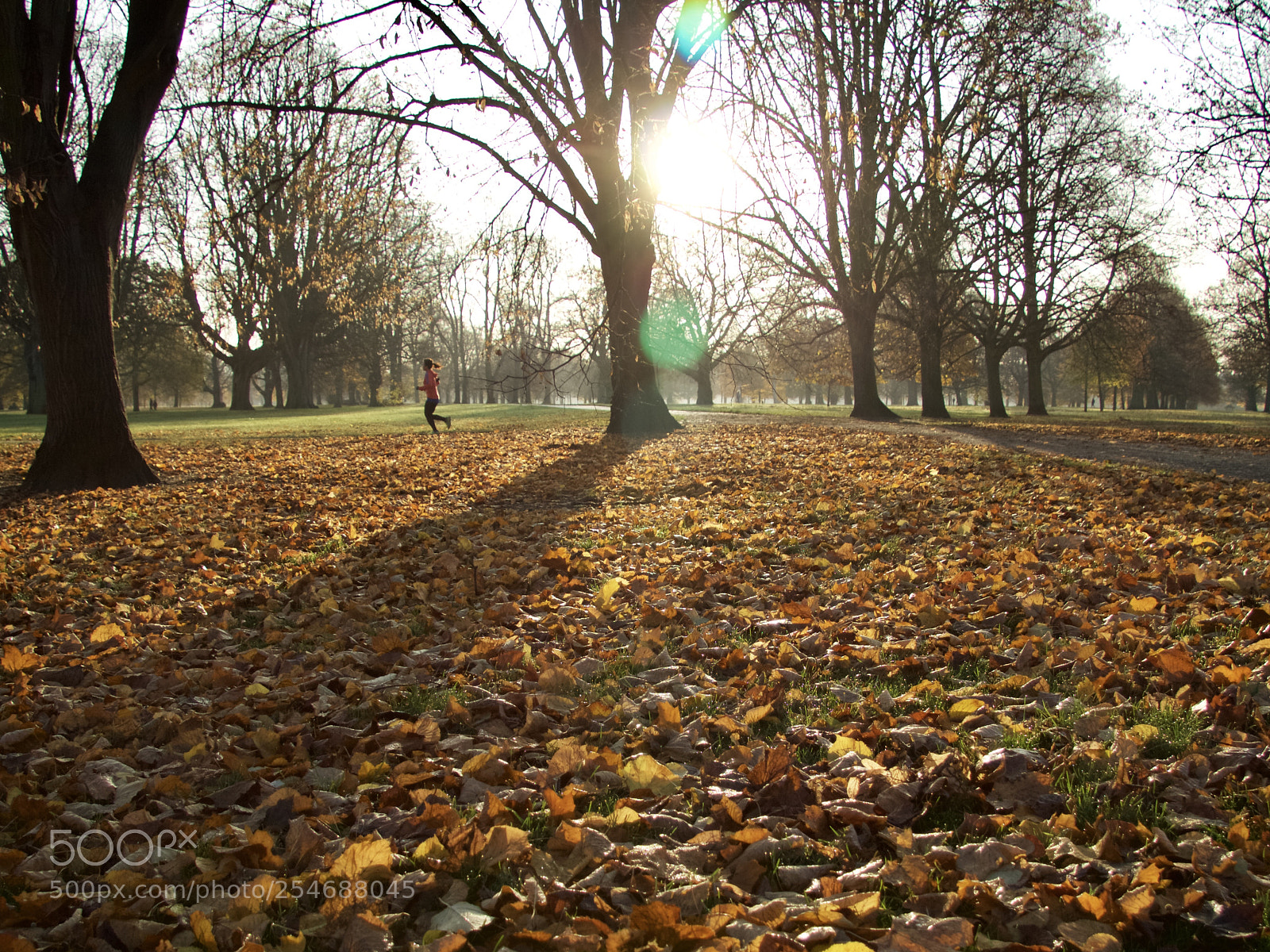 Canon EOS M10 sample photo. London hyde park autumn photography