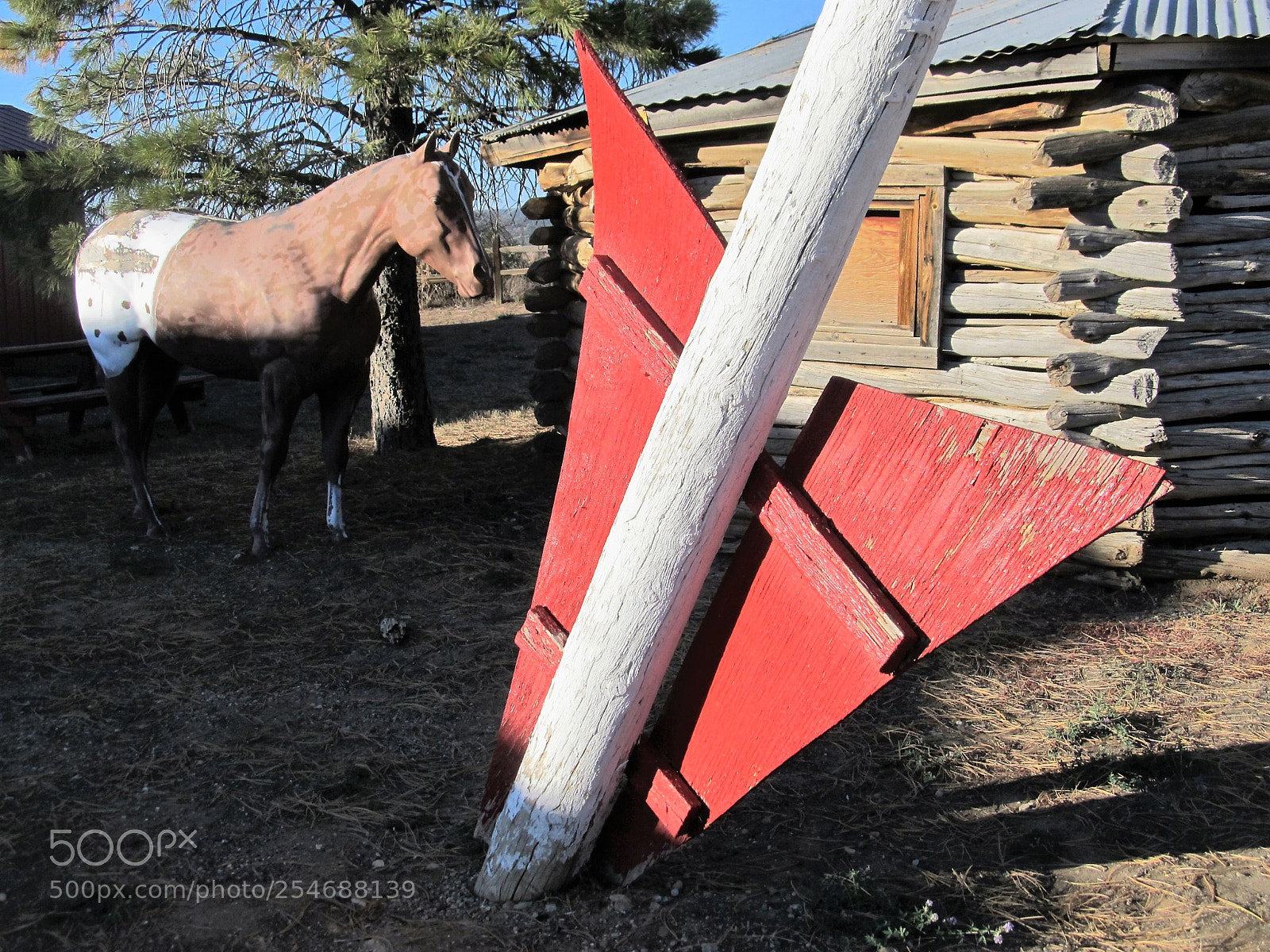 Canon PowerShot SX130 IS sample photo. Arrow and brown horse photography