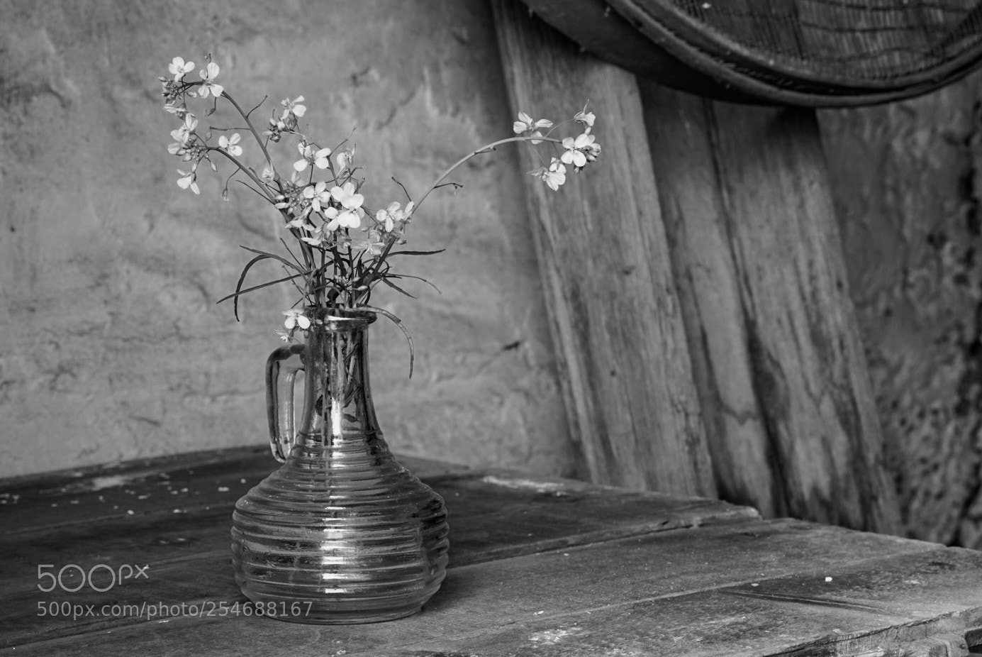 Sony a7 sample photo. 71-73 photography