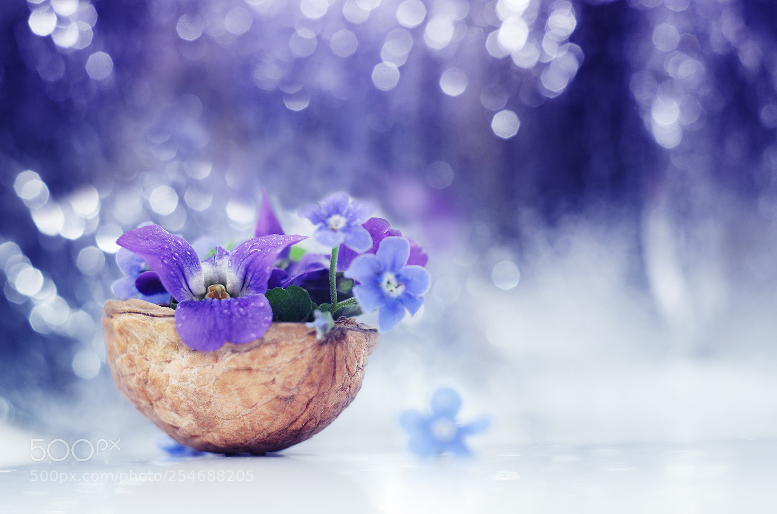 Nikon D7000 sample photo. Floristic composition with violets photography