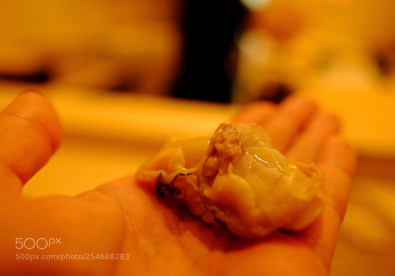 Fujifilm X-E2 sample photo. Sushi on my hand. photography