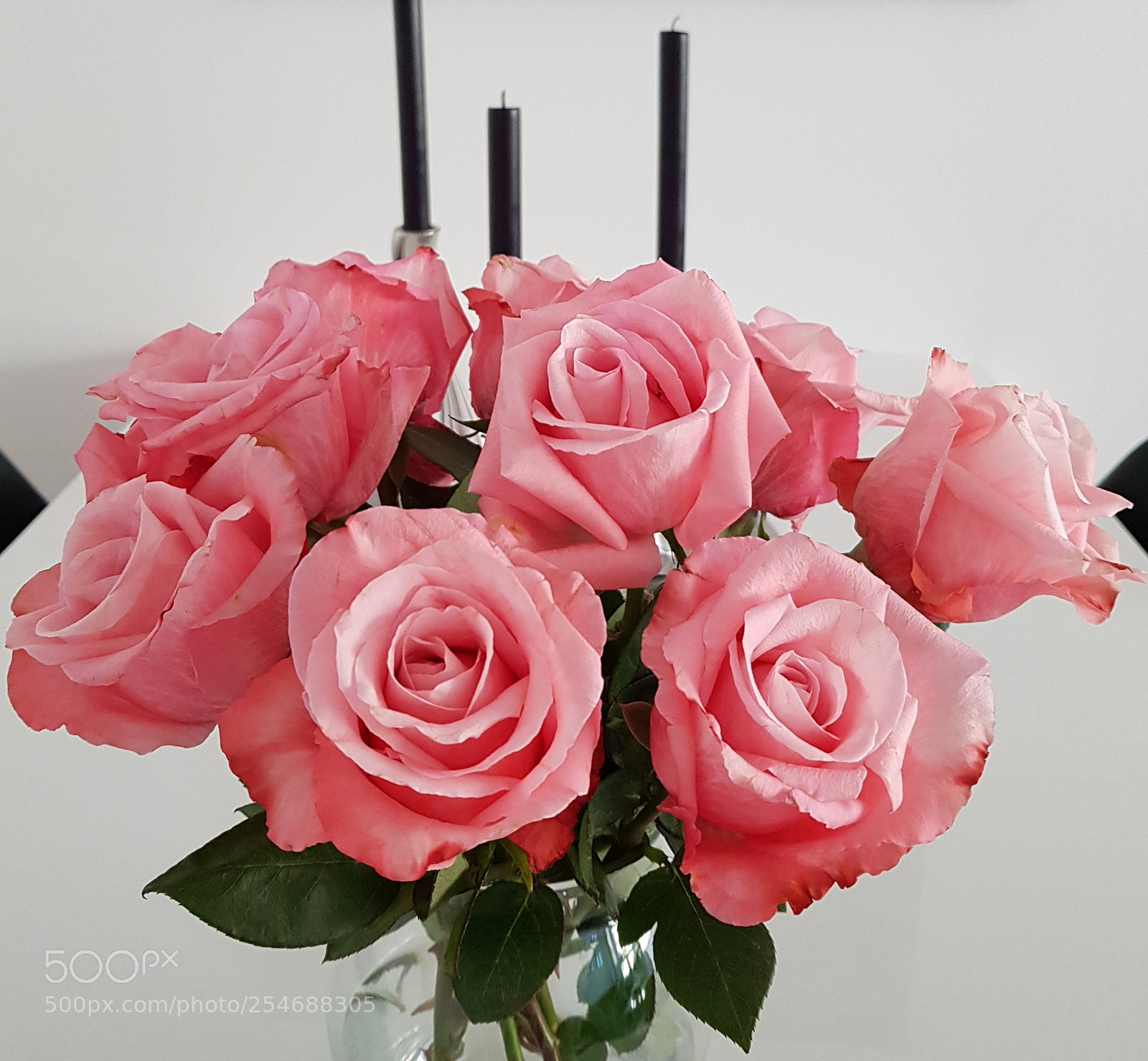 Samsung Galaxy S8 sample photo. To my love. photography