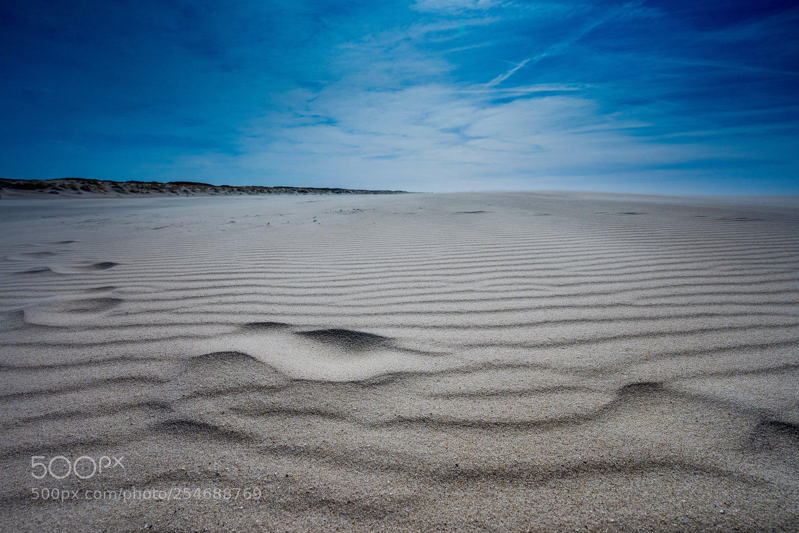 Sony a7R sample photo. De cocksdorp texel  photography