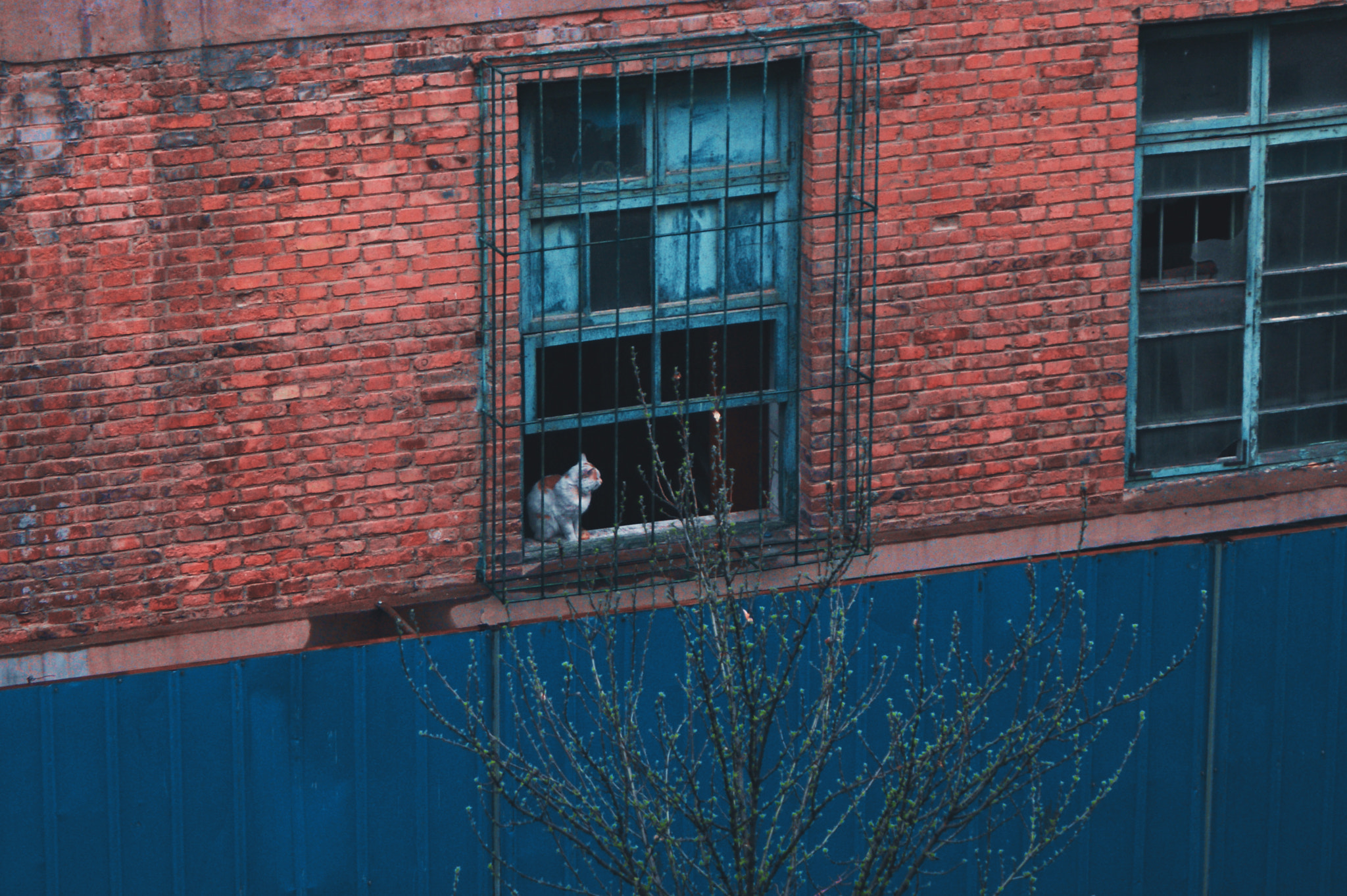 Sony DT 18-70mm F3.5-5.6 sample photo. Sheltered photography