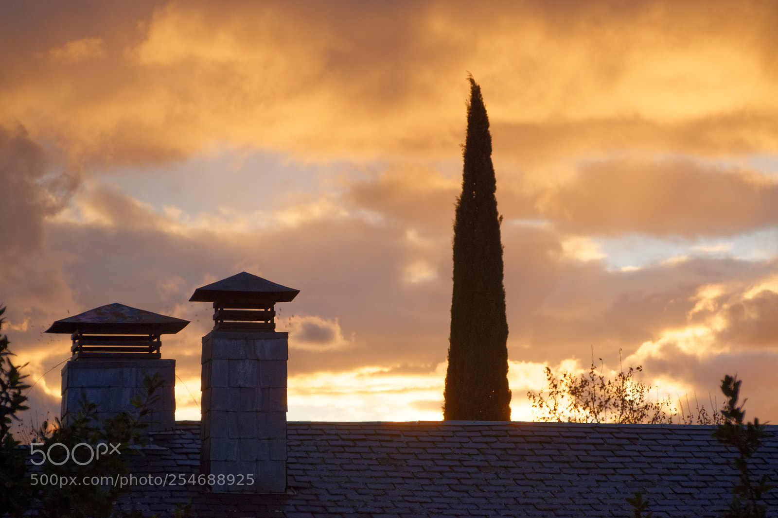 Nikon D5300 sample photo. Dusk photography