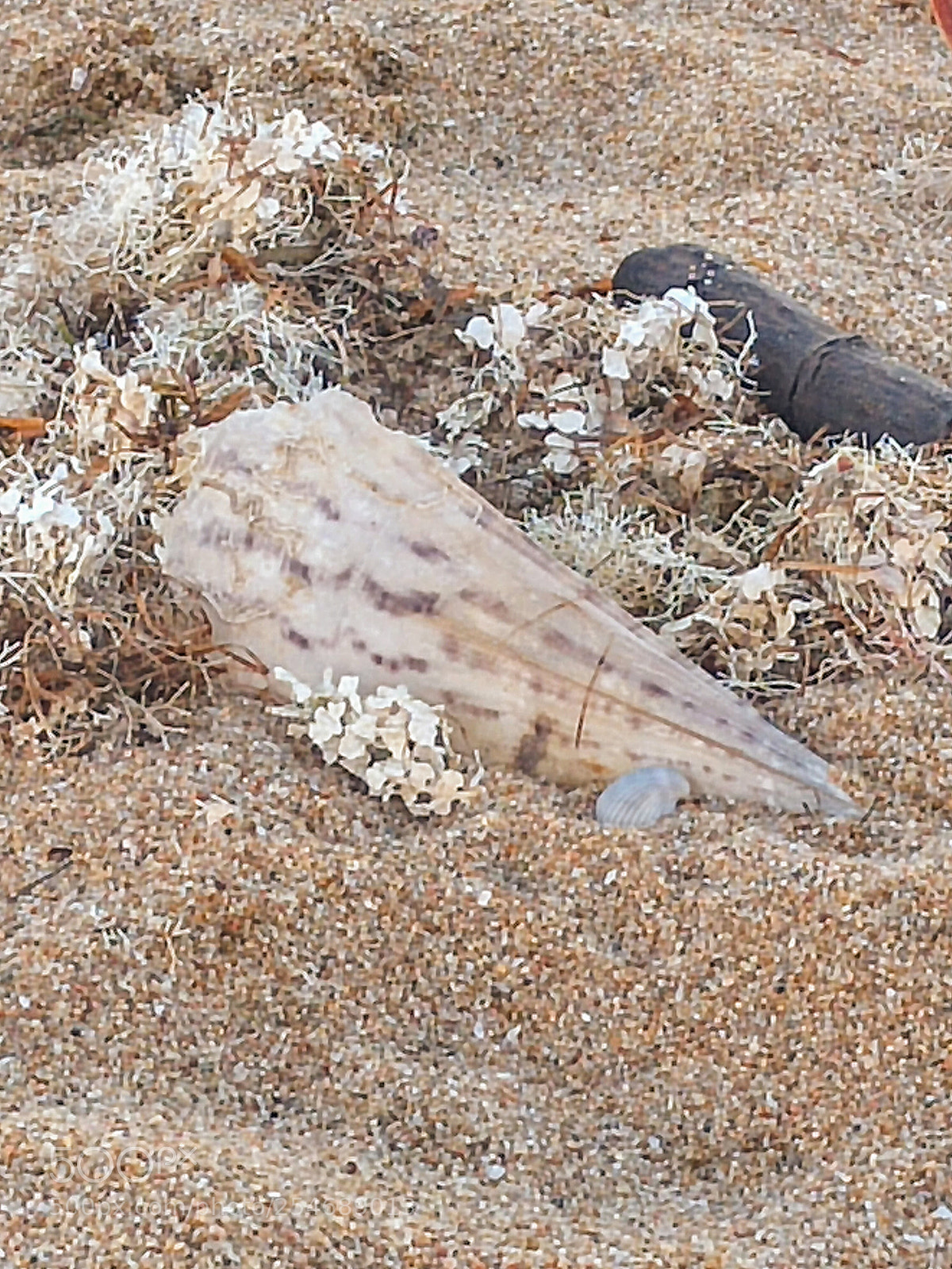 LG G4 sample photo. Beach collection photography