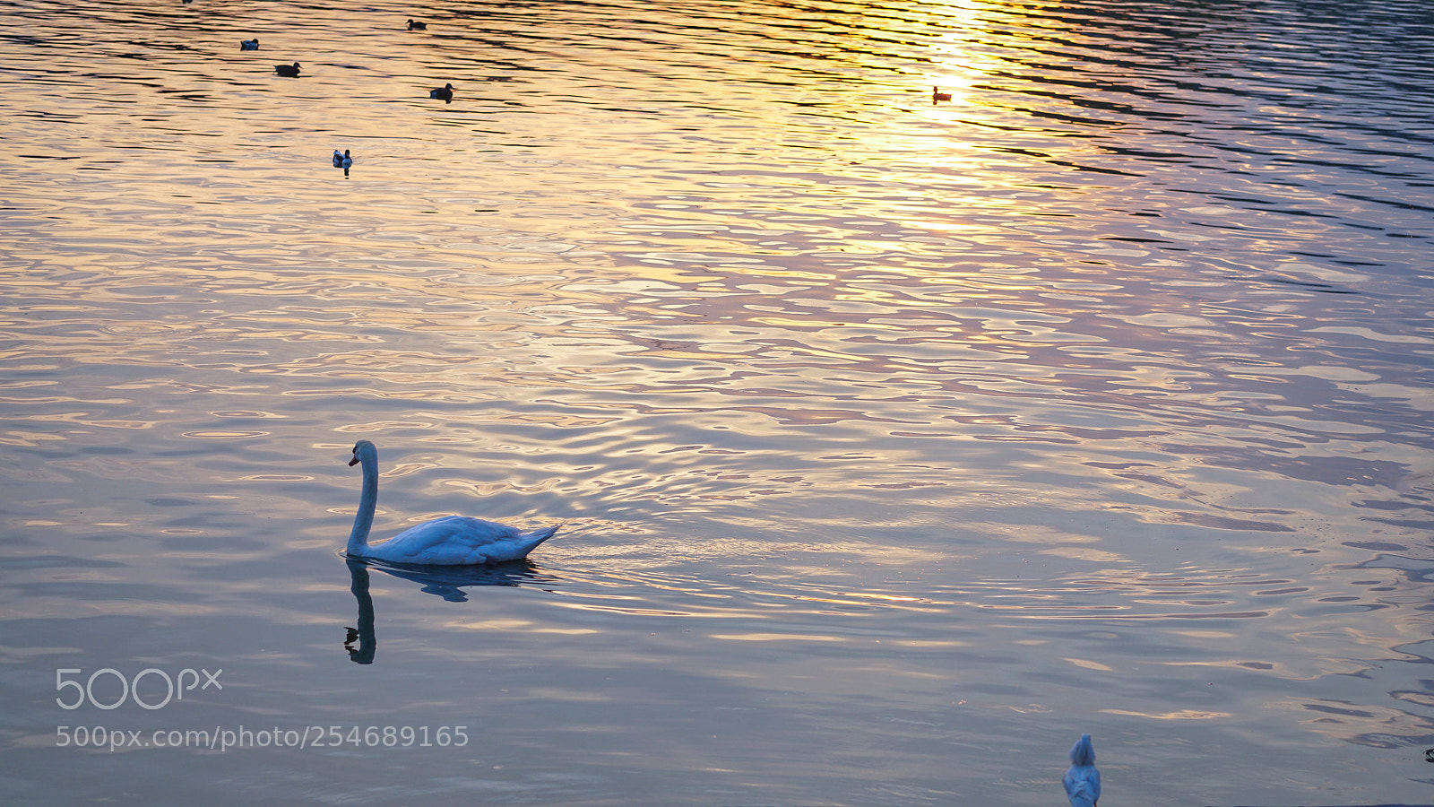 Sony a6000 sample photo. Sunset photography
