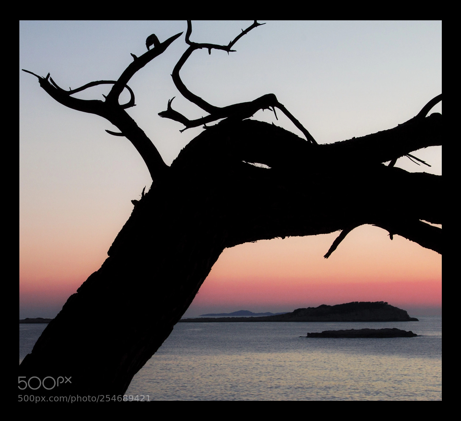 Canon EOS 60D sample photo. __ photography