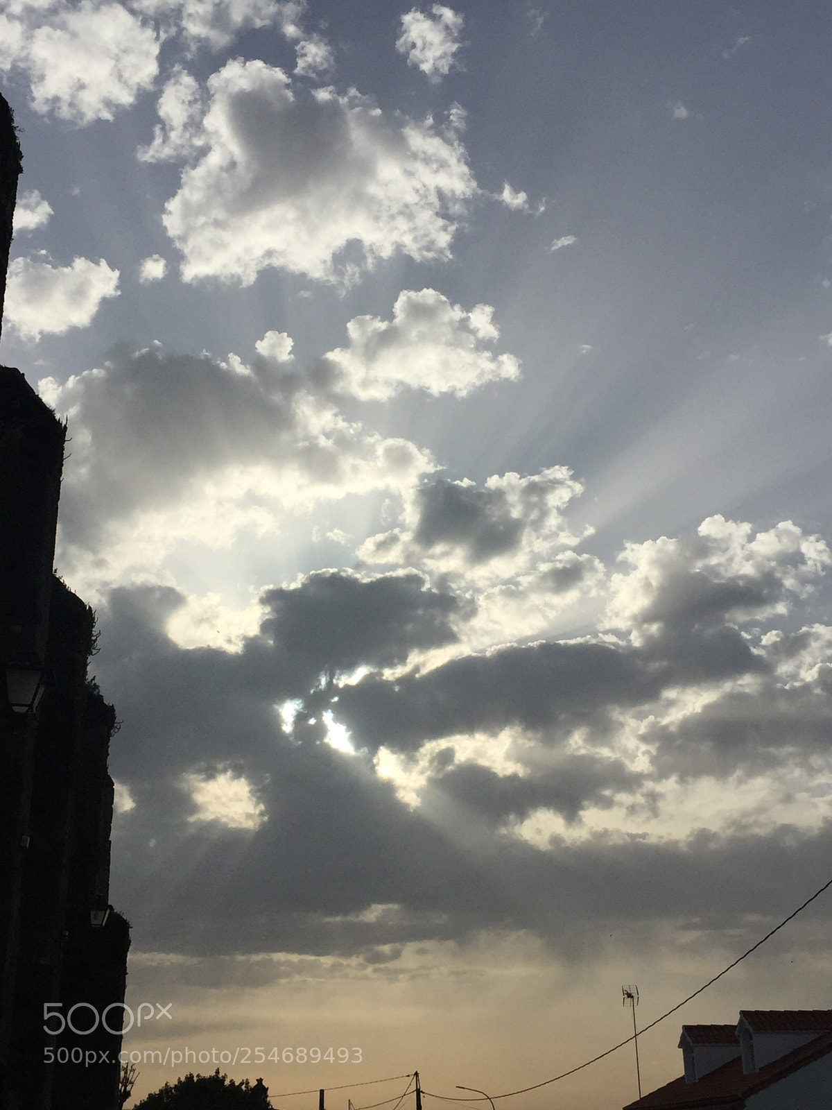 Apple iPhone 6 sample photo. Untitled photography