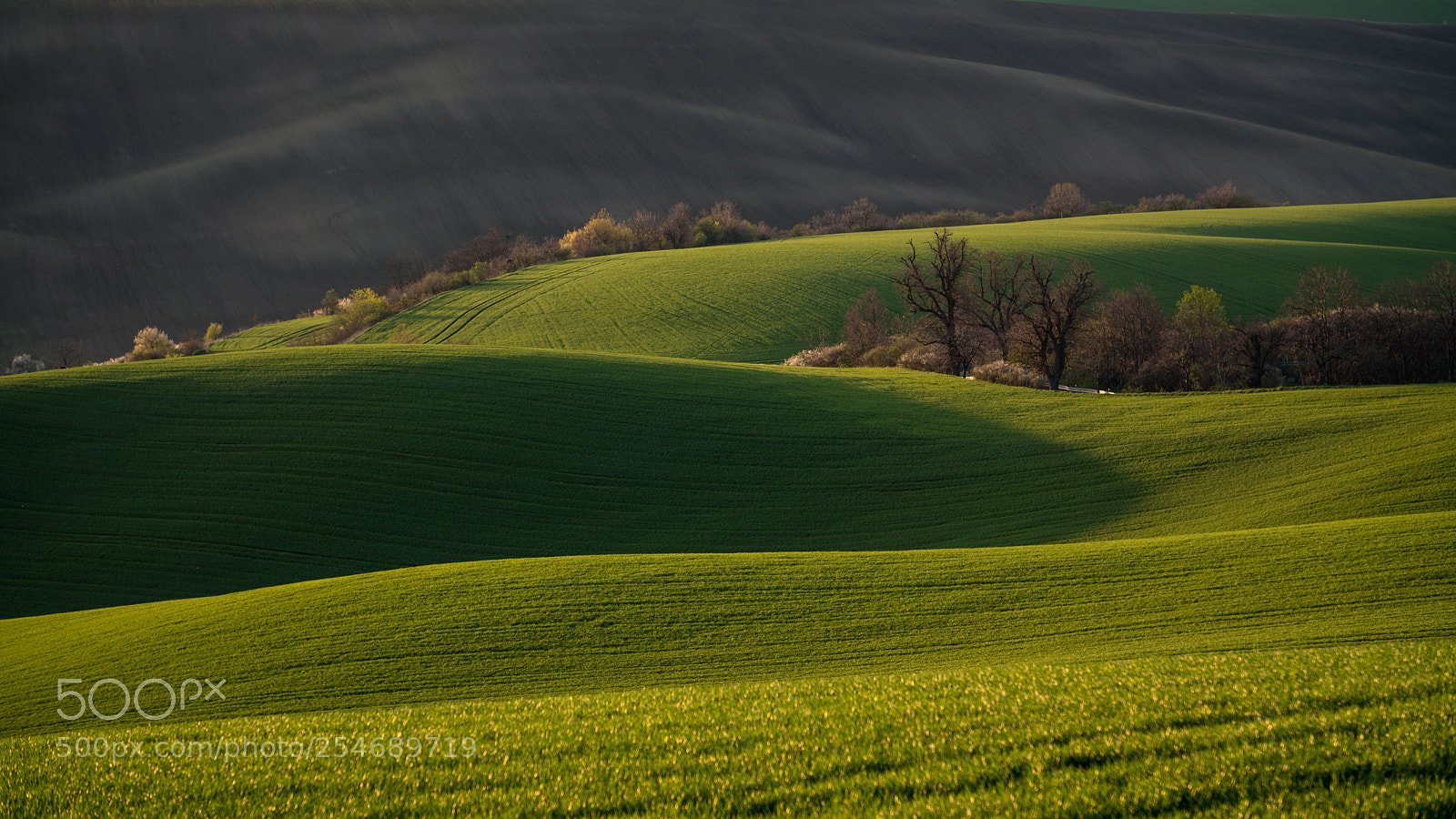 Sony a6500 sample photo. Moravian fields photography