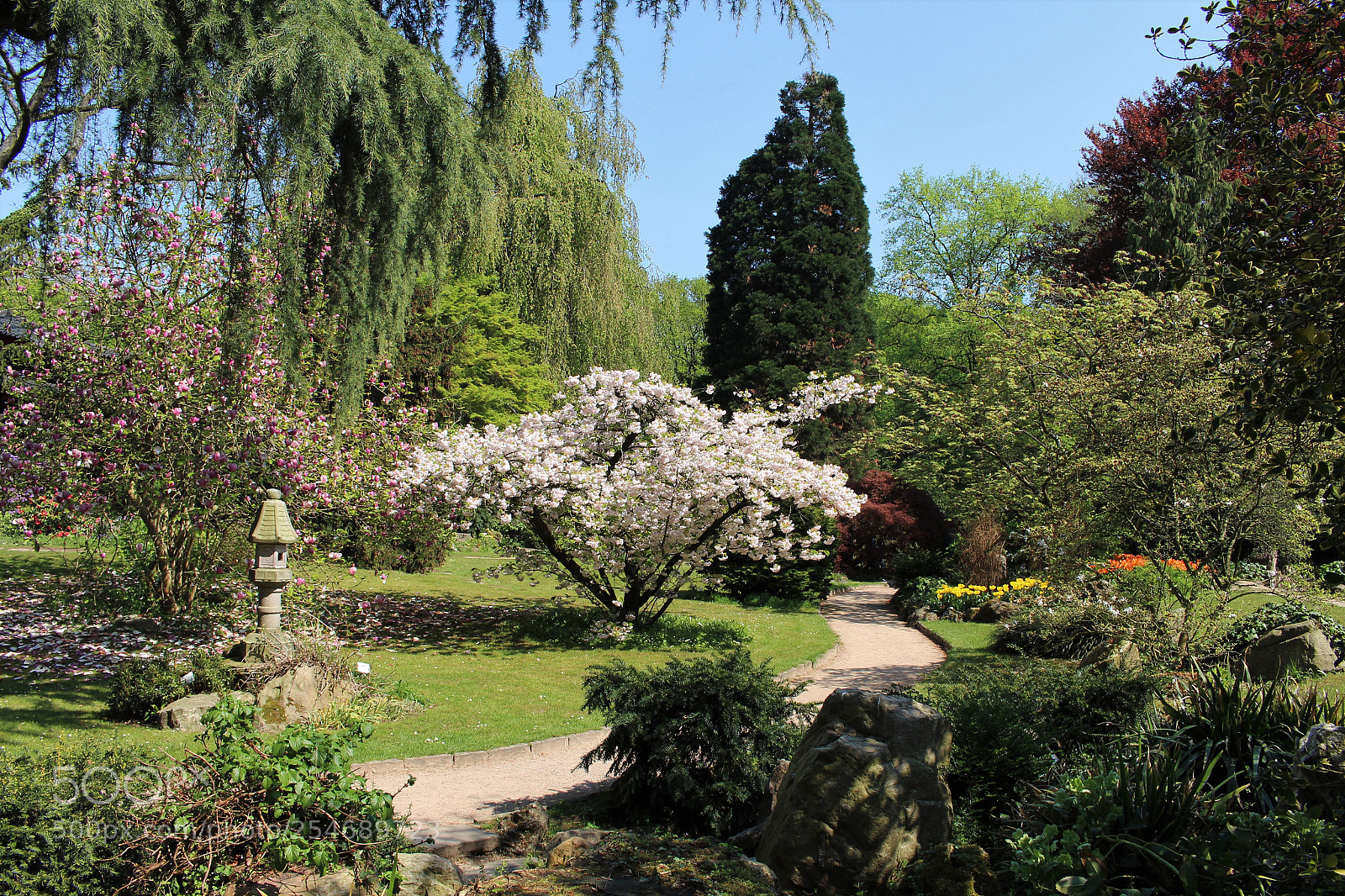 Canon EOS 700D (EOS Rebel T5i / EOS Kiss X7i) sample photo. Spring time photography