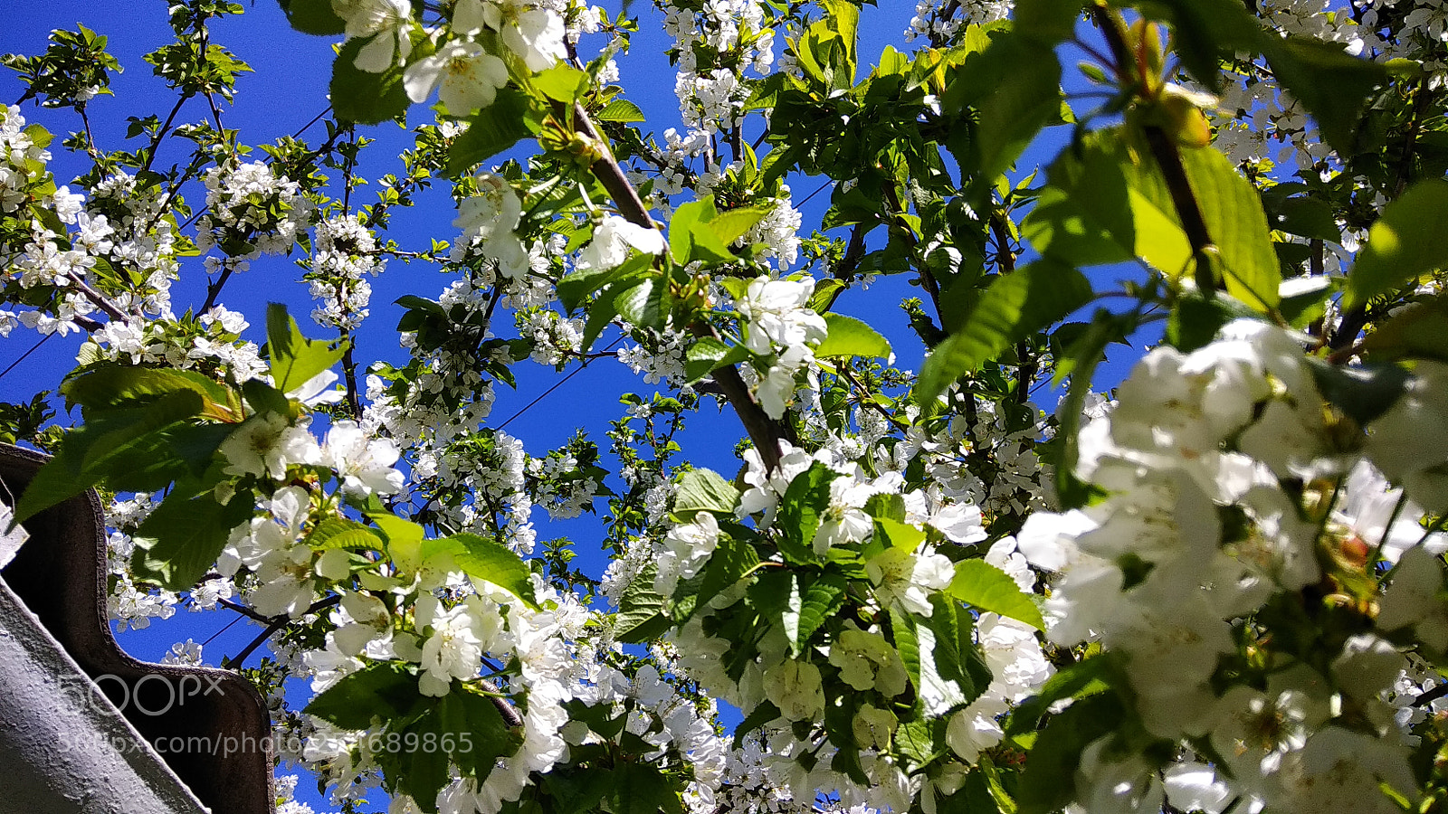 Xiaomi Redmi Note 4 sample photo. Untitled photography