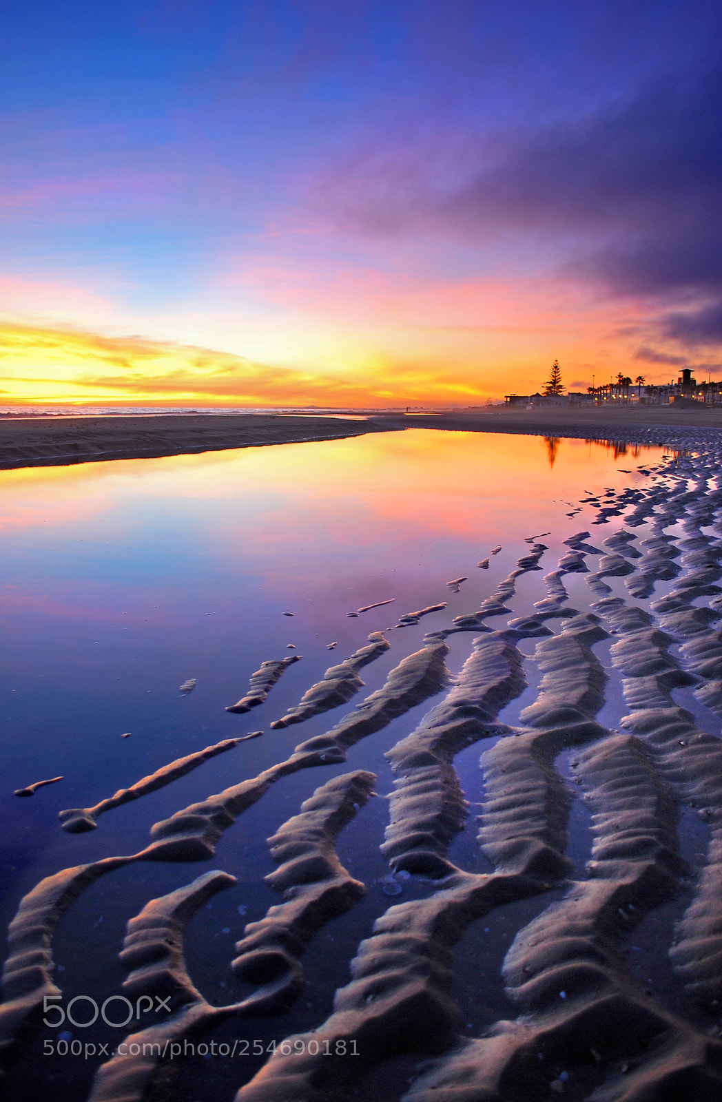 Nikon D60 sample photo. Purple sunset photography