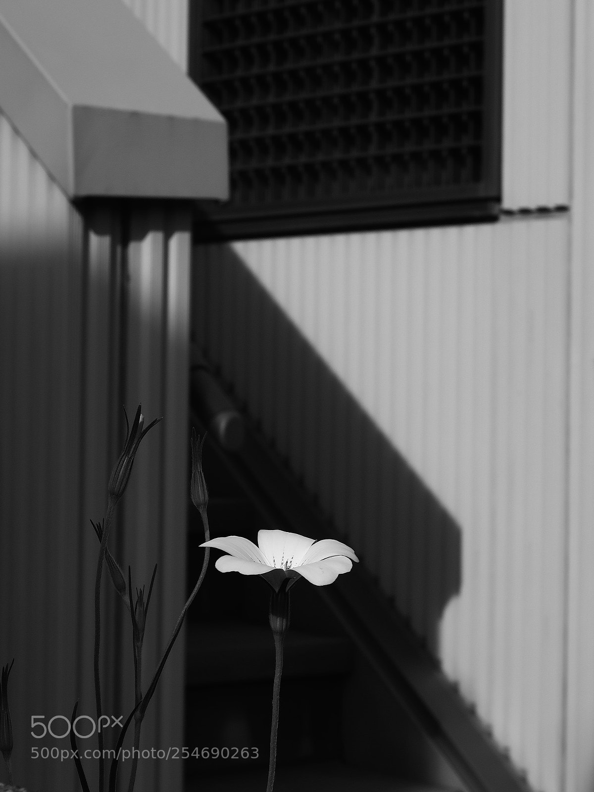 Canon PowerShot G7 X Mark II sample photo. Img photography