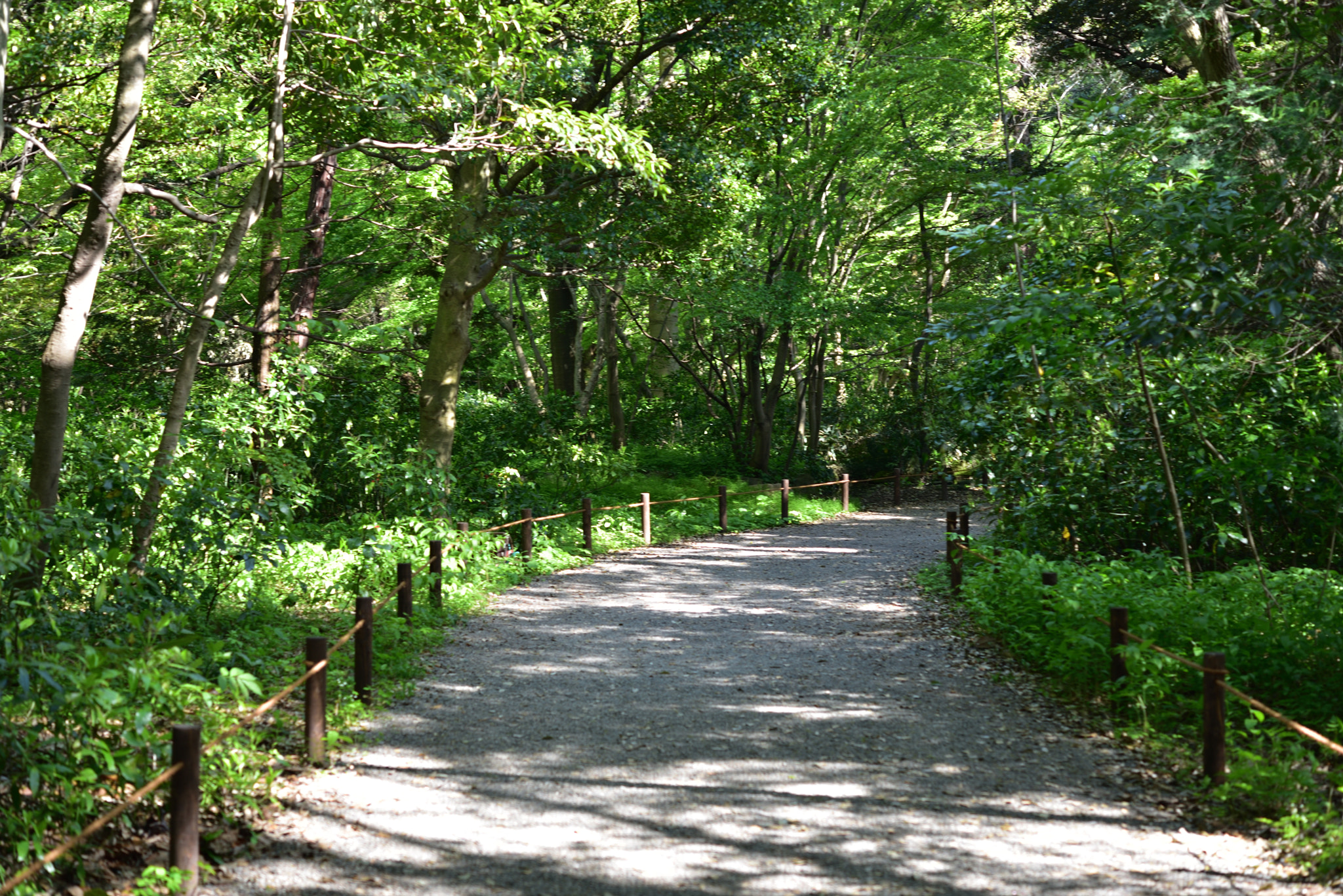 Nikon D750 + Nikon AF-S Micro-Nikkor 60mm F2.8G ED sample photo. 本丸跡 金沢城公園 photography