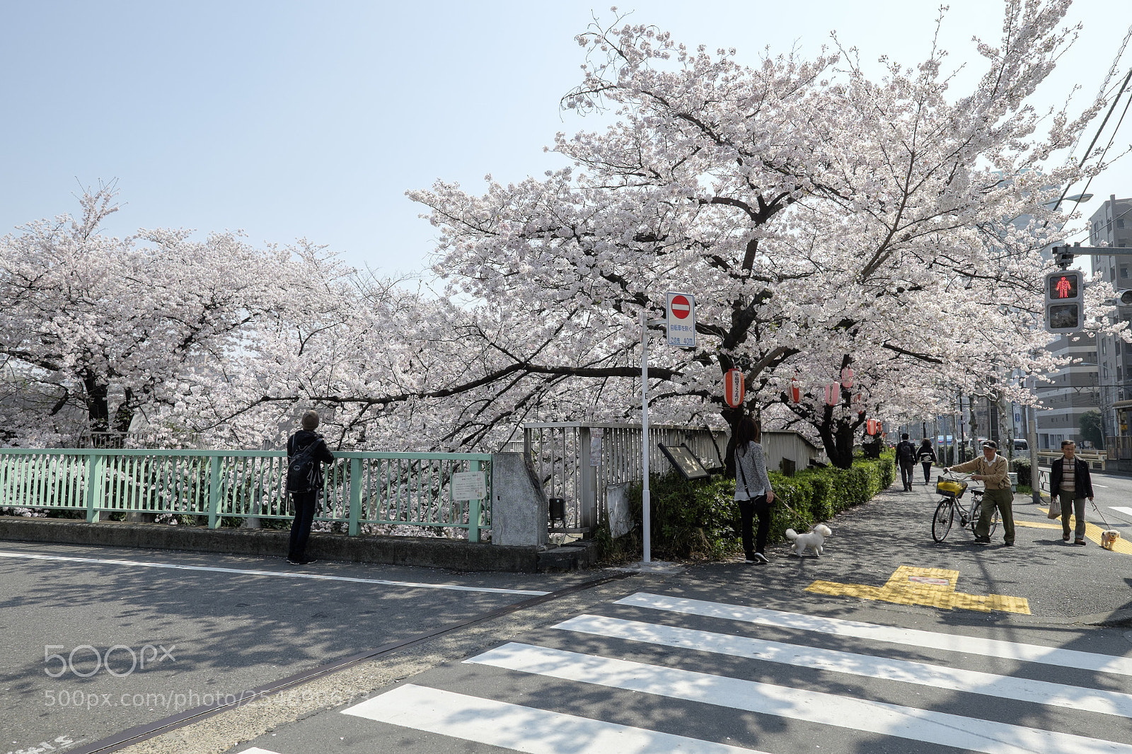 Fujifilm X-T1 sample photo. Tokyo.新宿区西早稲田　面影橋 photography
