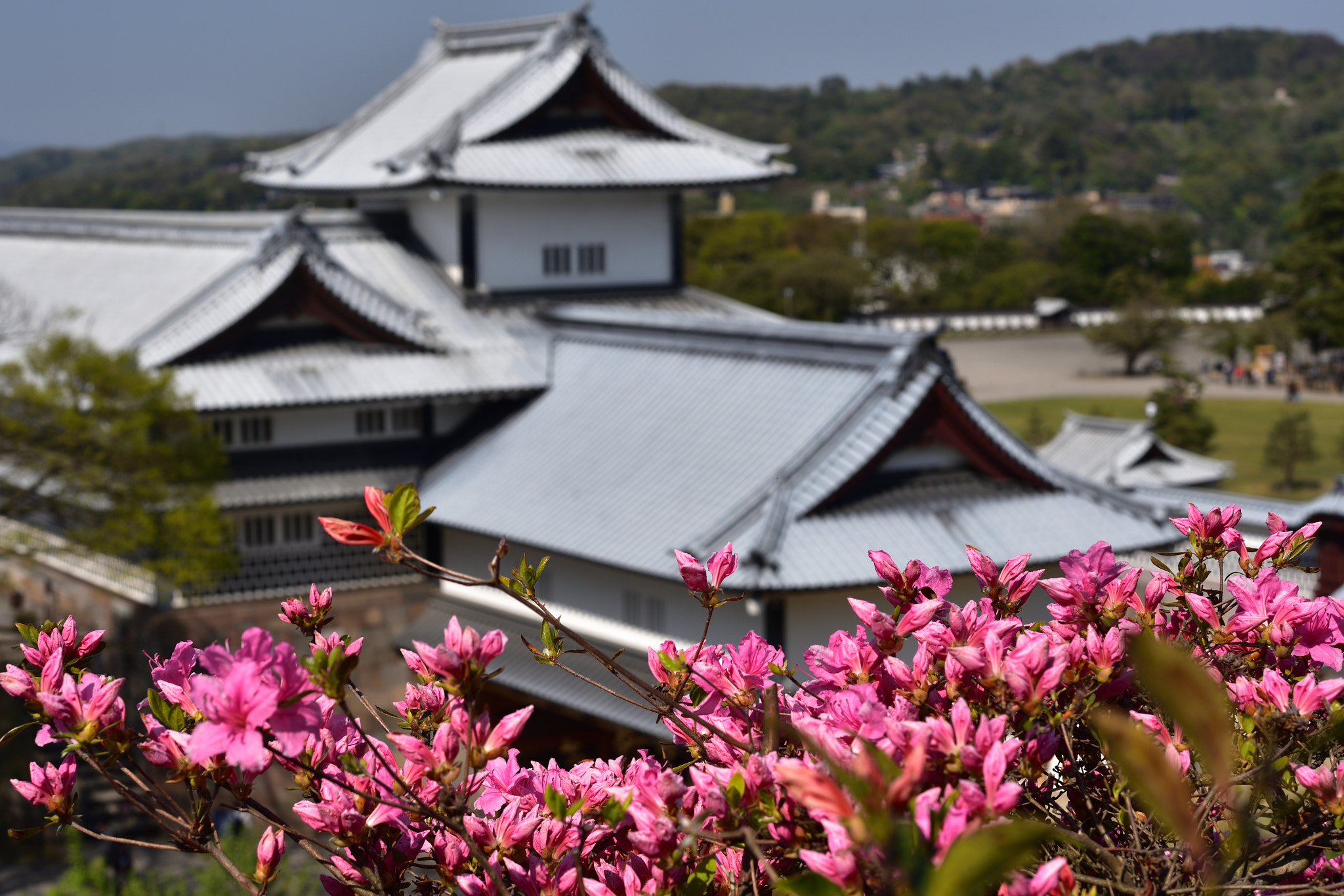 Nikon AF-S Micro-Nikkor 60mm F2.8G ED sample photo. ツツジと橋爪門と続櫓 金沢城公園 photography