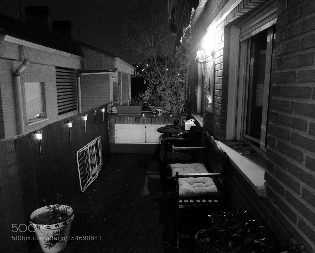 Fujifilm X-E1 sample photo. Dscf photography