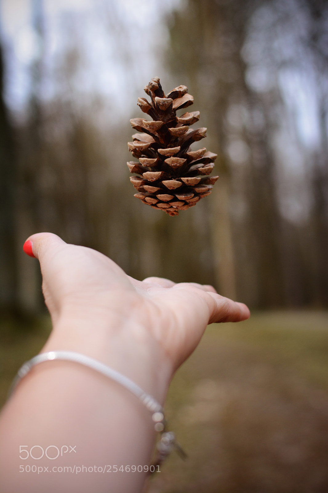 Nikon D7100 sample photo. Fun in the forest photography