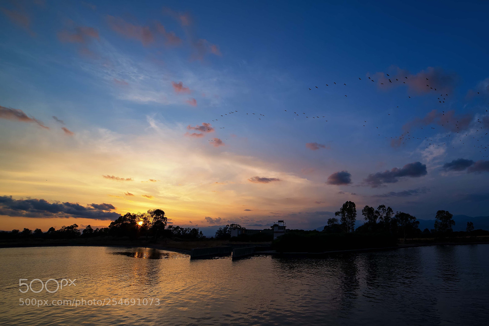 Pentax K-1 sample photo. Untitled photography