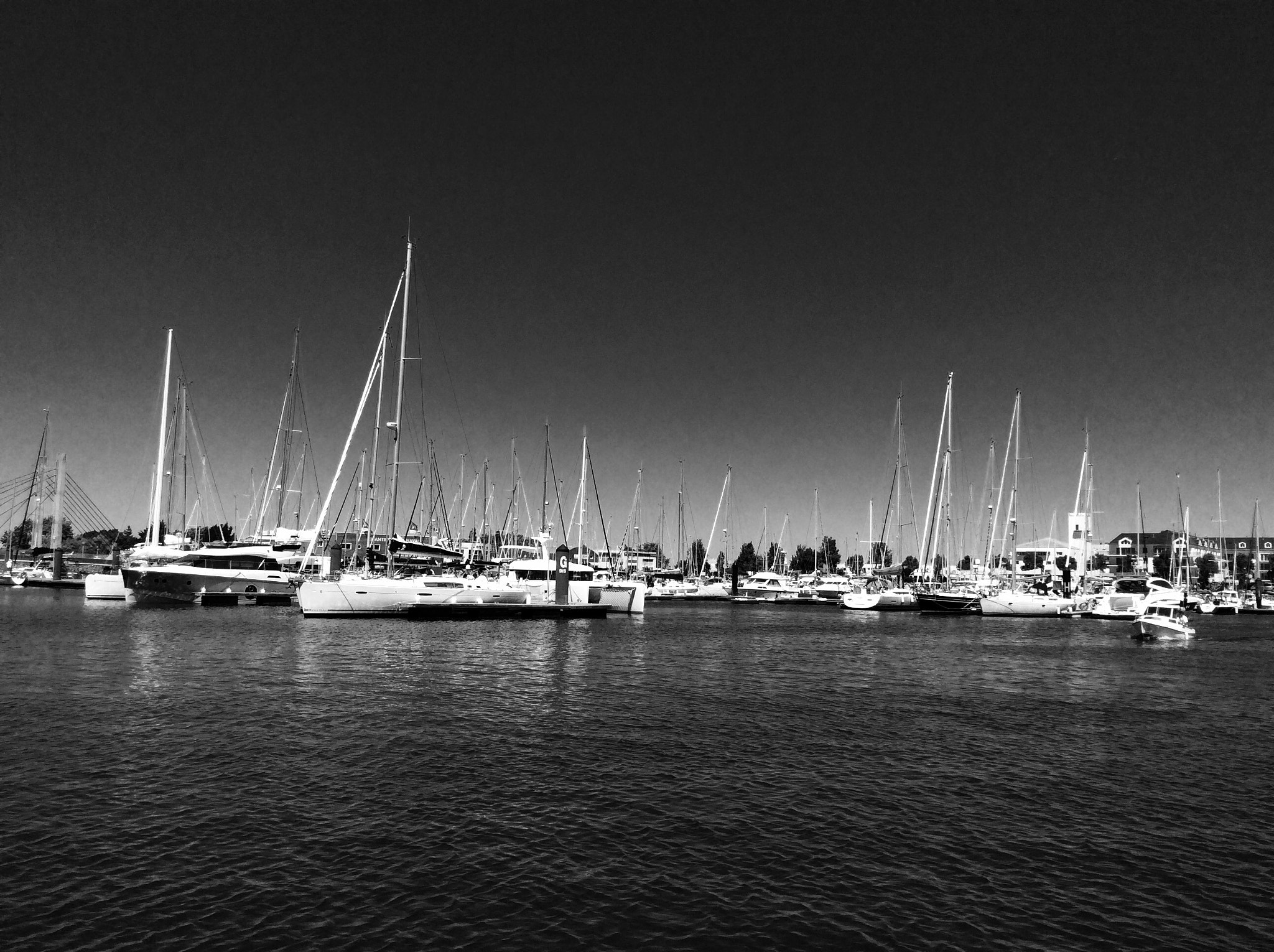 Apple iPad mini 2 sample photo