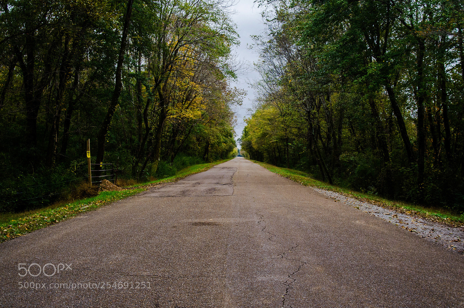 Nikon D7000 sample photo. Road photography