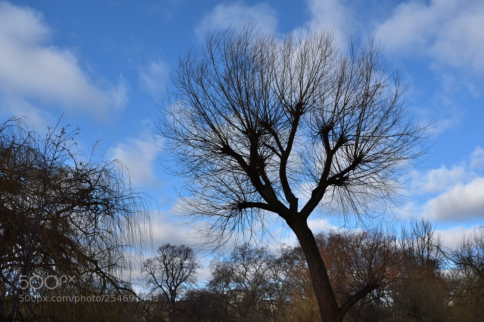 Nikon D5500 sample photo. Untitled photography
