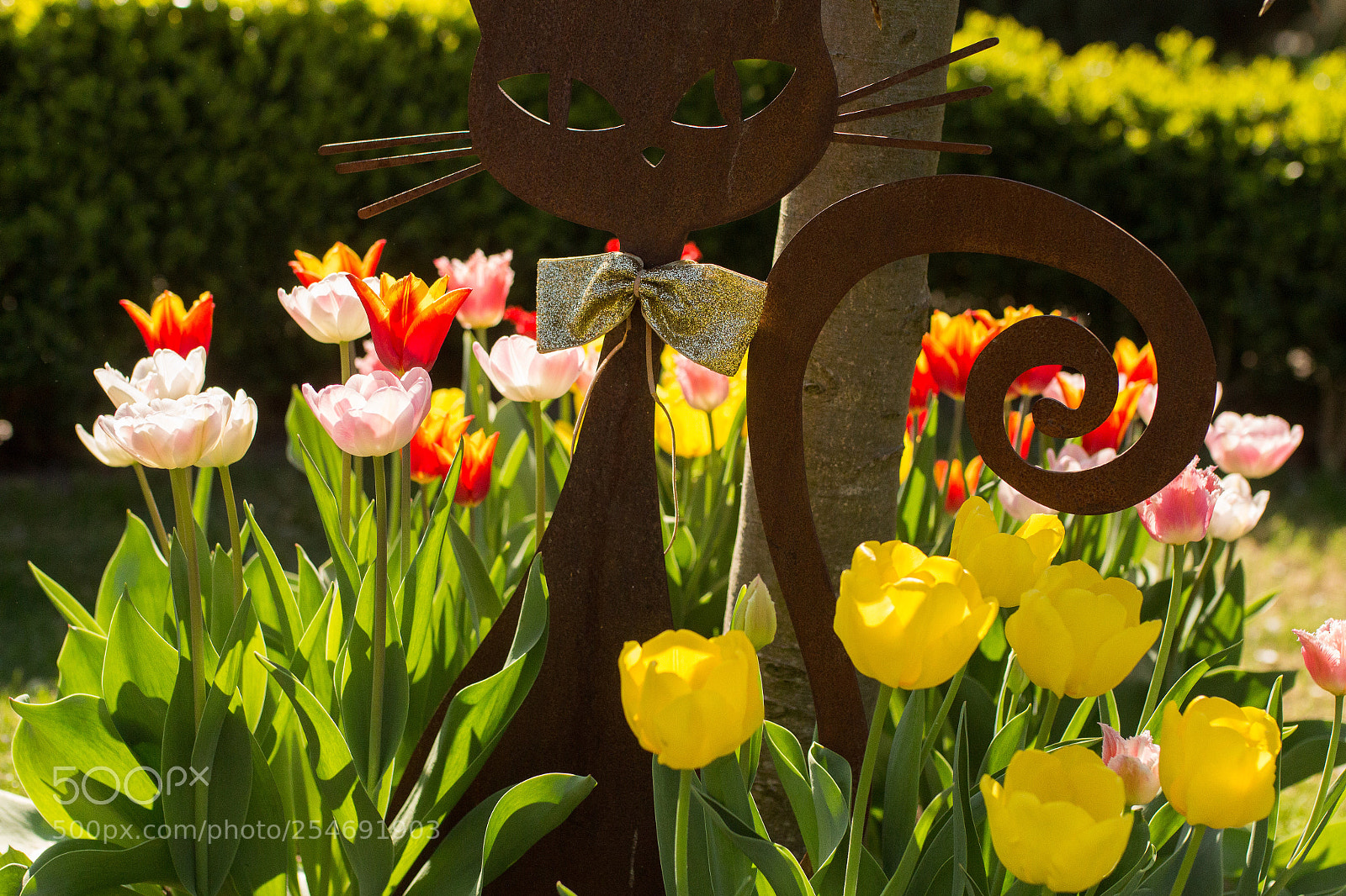 Canon EOS 700D (EOS Rebel T5i / EOS Kiss X7i) sample photo. Flowerpower photography
