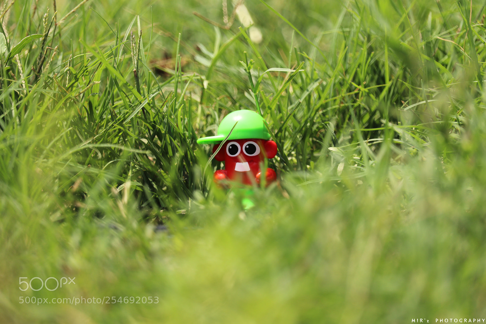 Canon EOS 77D (EOS 9000D / EOS 770D) sample photo. Img photography